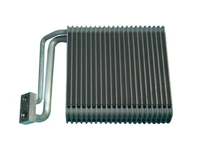 EV-CH011